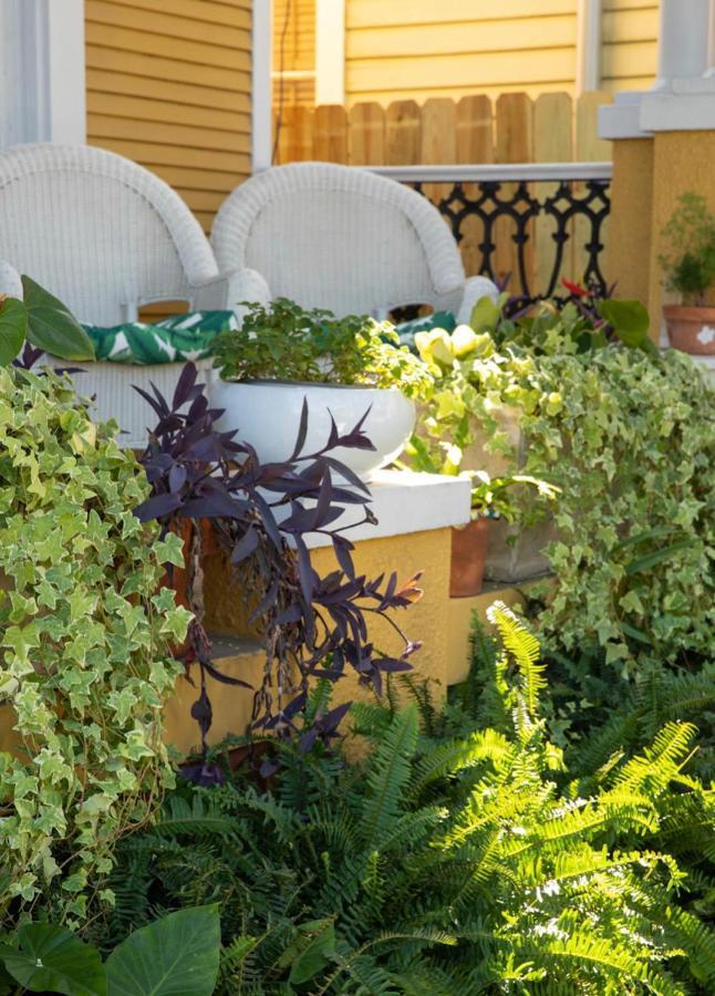 ניו אורלינס Auld Sweet Olive Bed And Breakfast מראה חיצוני תמונה