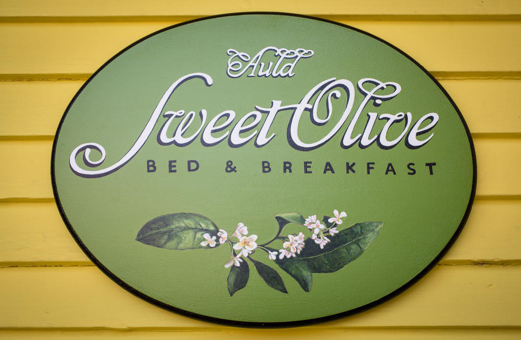 ניו אורלינס Auld Sweet Olive Bed And Breakfast מראה חיצוני תמונה